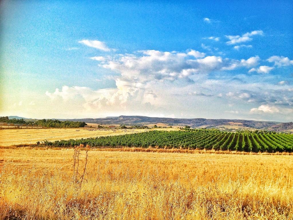Vila Agriturismo Furfullanu Nurallào Exteriér fotografie