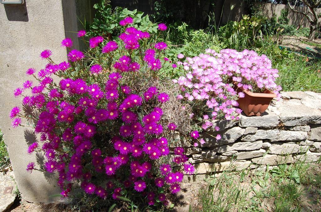 Vila Agriturismo Furfullanu Nurallào Exteriér fotografie